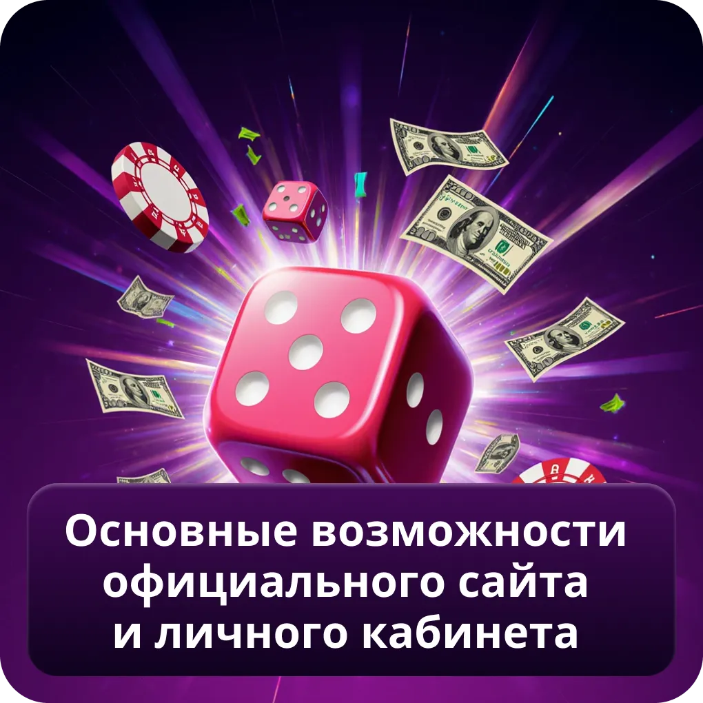 Основные возможности официального сайта и личного кабинета 